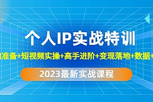 2023个人IP实战特训:基础准备+短视频实操+高手进阶+变现落地+数据+电商