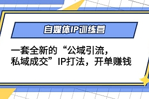 自媒体IP训练营(12+13期)一套全新的“公域引流,私域成交”IP打法