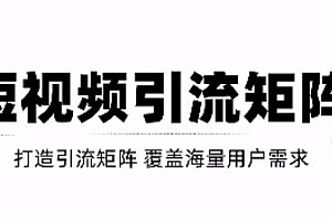 短视频引流矩阵打造,SEO+二剪裂变,效果超级好!【视频教程】
