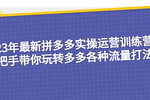 23年最新拼多多实操运营训练营:手把手带你玩转多多各种流量打法!