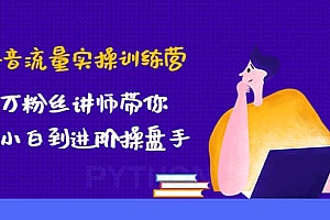 抖音流量实操训练营:百万粉丝讲师带你从小白到进阶操盘手