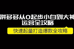 拼多多从0起步小白到大神运营全攻略