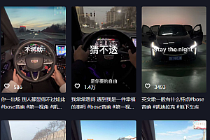 抖音开车视频项目,0基础操作,每天五分钟,月入1W+