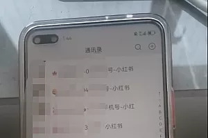 日引流100私域流量小红书图文是怎样做到的全面解析