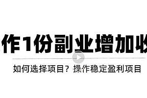 新手如何通过操作副业增加收入,从项目选择到玩法分享!【视频教程】