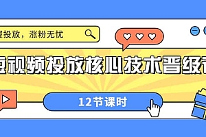 短视频投放核心技术晋级课:掌握投放,涨粉无忧(12节课时)