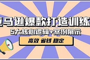 亚马逊爆款打造训练营:5大核心逻辑+案例展示 打造爆款链接 高效 省钱 稳定