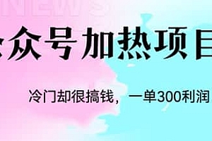 冷门公众号加热项目,一单利润300+