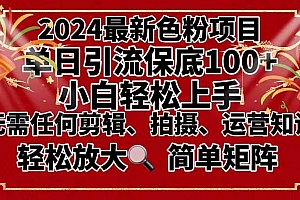 2024最新换脸项目,小白轻松上手,单号单月变现3W+,可批量矩阵操作放大