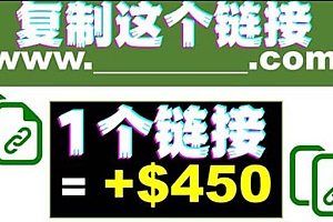 复制链接赚美元,一个链接可赚450+,利用链接点击即可赚钱的项目(视频教程)