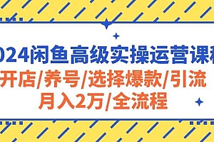 2024闲鱼高级实操运营课程:开店/养号/选择爆款/引流/月入2万/全流程