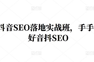 王通·抖音SEO落地实战班,手手带你做好音抖SEO