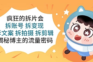 疯狂的拆片会:拆账号 拆变现 拆文案 拆拍摄 拆剪辑 揭秘博主的流量密码