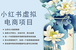 小红书虚拟电商从0到1,让你从小白到精英(20节实操课程)