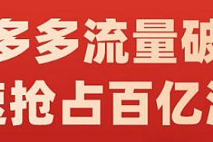阿杰·拼多多流量破局:如何打黑标,爆款的思路,拼多多流量框架,快速抢占百亿流量
