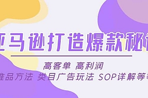 亚马逊打造爆款秘诀:高客单 高利润 推品方法 类目广告玩法 SOP详解等等