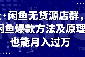 卓让·闲鱼无货源店群,掌握闲鱼爆款方法及原理,也能月入过万