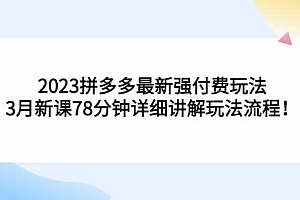 2023拼多多最新强付费玩法,3月新课78分钟详细讲解玩法流程