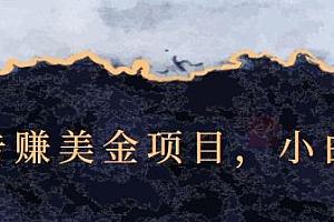 点击广告赚美金项目,小白可操作【视频课程】