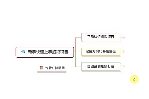 新手如何操作虚拟项目?从0打造月入上万店铺技术【视频课程】