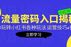 小红书流量密码入口揭秘:带你玩转小红书各种玩法 运营技巧+优化