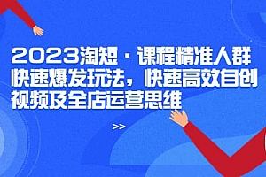 2023淘短·课程精准人群快速爆发玩法,快速高效自创视频及全店运营思维