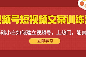 视频号短视频文案训练营:0基础小白如何建立视频号,上热门,能卖货!