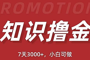 抖音知识撸金项目:执行力强当天见收益(教程+资料)