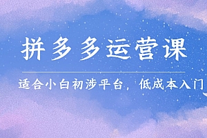 拼多多运营课,适合小白初涉平台,低成本入门