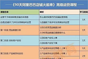 【90天阿里巴巴店铺火起来】高级运营实操课,1688运营高手必修课