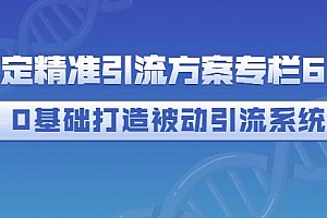 制定精准引流方案专栏6.0,0基础打造被动引流系统