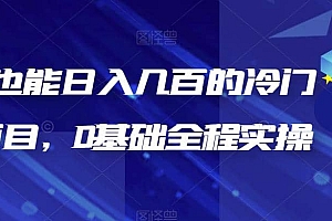新手也能日入几百的冷门DIY项目,0基础全程实操【揭秘】