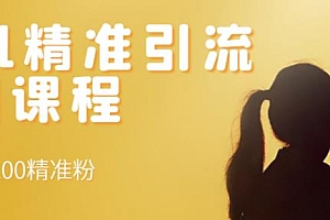 soul精准引流系列课程,每天引流100精准粉