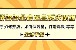 拼多多全套运营系统课程:新手如何开店 如何做流量 打造爆款 等等 全部干货
