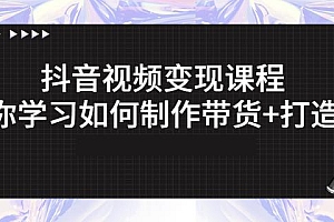 抖音短视频变现课程:带你学习如何制作带货+打造IP【41节】