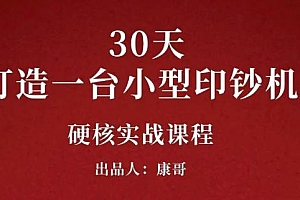 康哥30天打造一台小型印钞机:躺赚30万的项目完整复盘(视频教程)