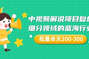 某付费文章:中视频解说项目复盘:细分领域的蓝海行业 批量单天200-300收益