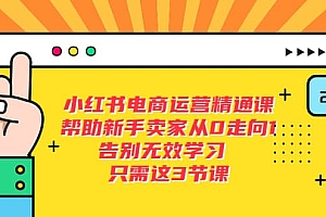 小红书电商·运营精通课,帮助新手卖家从0走向1 告别无效学习(7节视频课)