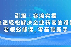 引爆·客流实操:快速轻松解决企业获客的难题,老板必修课,零基础新手