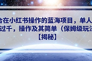 适合在小红书操作的蓝海项目,单人日收入过千,操作及其简单(保姆级玩法)【揭秘】
