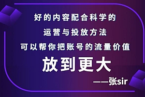 张sir账号流量增长课,告别海王流量,让你的流量更精准