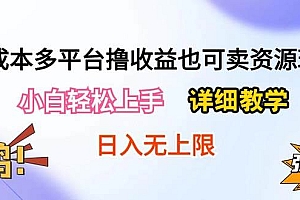 0成本多平台撸收益也可卖资源玩法,小白轻松上手。详细教学日入500+附资源