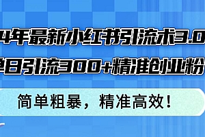 24年最新小红书引流术3.0,单日引流300+精准创业粉,简单粗暴,精准高效!