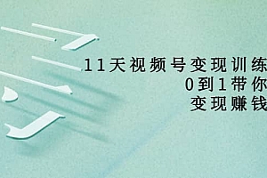 好望角·11天视频号变现训练营,从0到1打造变现赚钱系统(价值398)