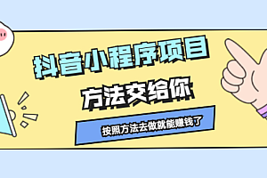 抖音小程序项目,方法交给你,按照方法去做就行了