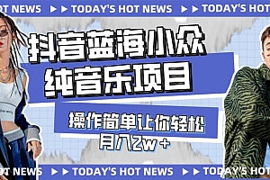 宝藏细分领域,抖音蓝海小众纯音乐项目,操作简单让你轻松月入2w+