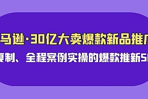 亚马逊30亿·大卖爆款新品推广,可复制、全程案例实操的爆款推新SOP