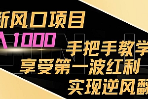 最新风口项目,日入过千,抓住当下风口,享受第一波红利,实现逆风翻盘