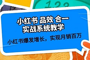 小红书 品效 合一实战系统教学:小红书爆发增长,实现月销百万 (59节)