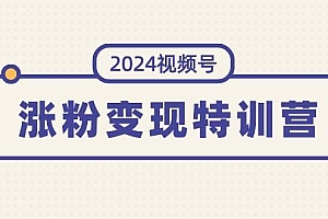 2024视频号-涨粉变现特训营:一站式打造稳定视频号涨粉变现模式(10节)